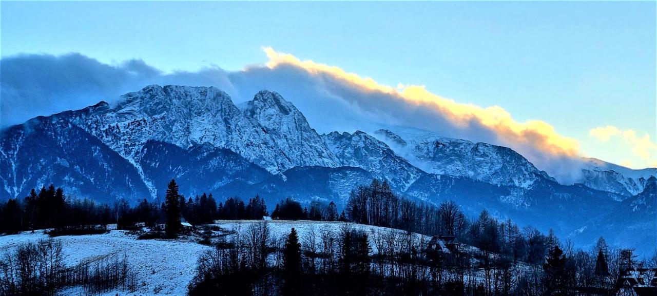 Domek Jelonek Bachledzki Wierch Zakopane Exterior photo